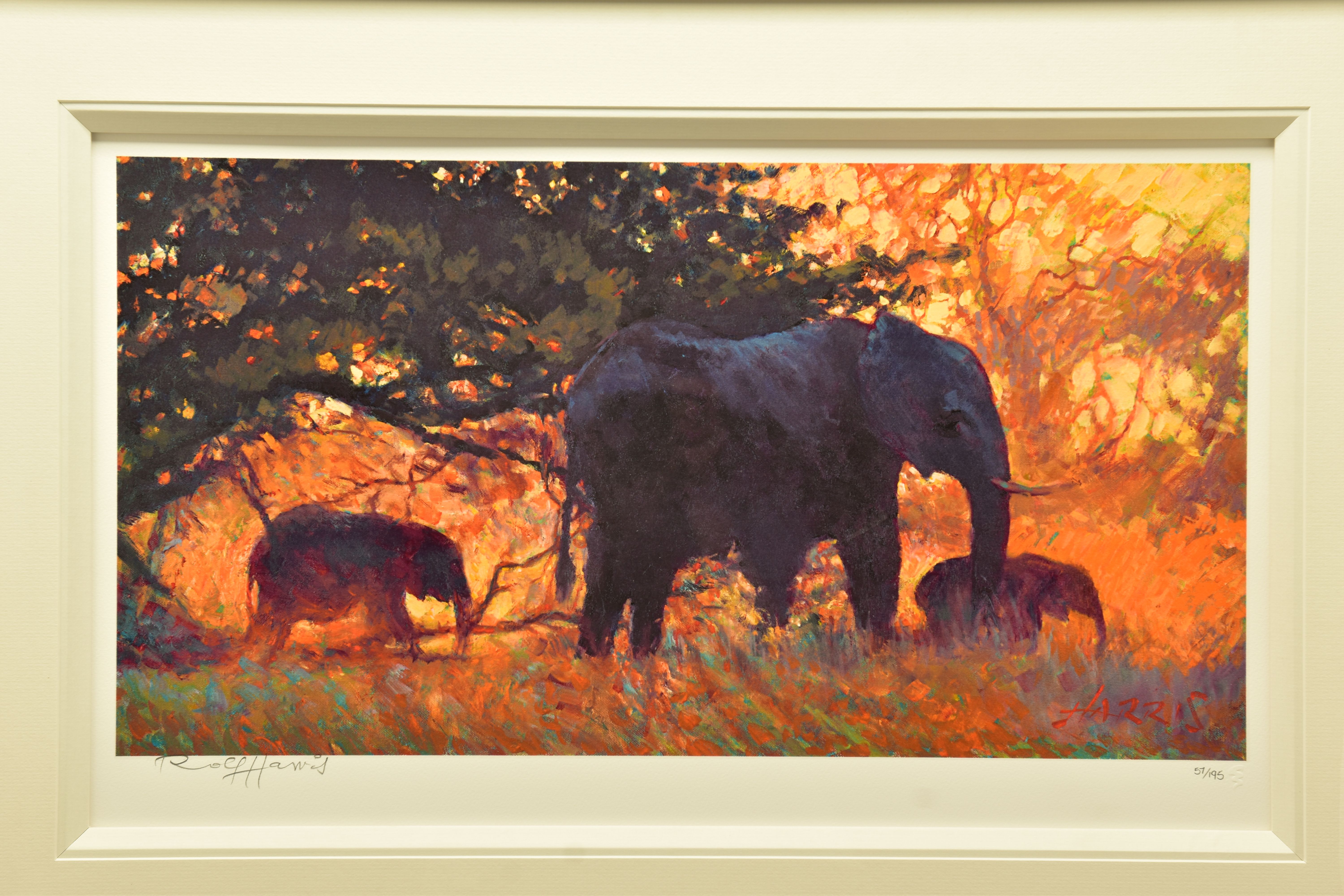 ROLF HARRIS (AUSTRALIAN 1930) 'BACKLIT GOLD' a limited edition print 57/195 depicting elephants, - Bild 2 aus 9