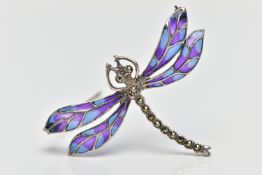 A PLIQUE A JOUR AND MARCASTITE DRAGONFLY BROOCH, the dragonfly with marcasite set body and eyes,