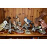 A GROUP OF RESIN ANIMAL AND BIRD FIGURES, to include Border Fine Arts A0001 The Scrounger,