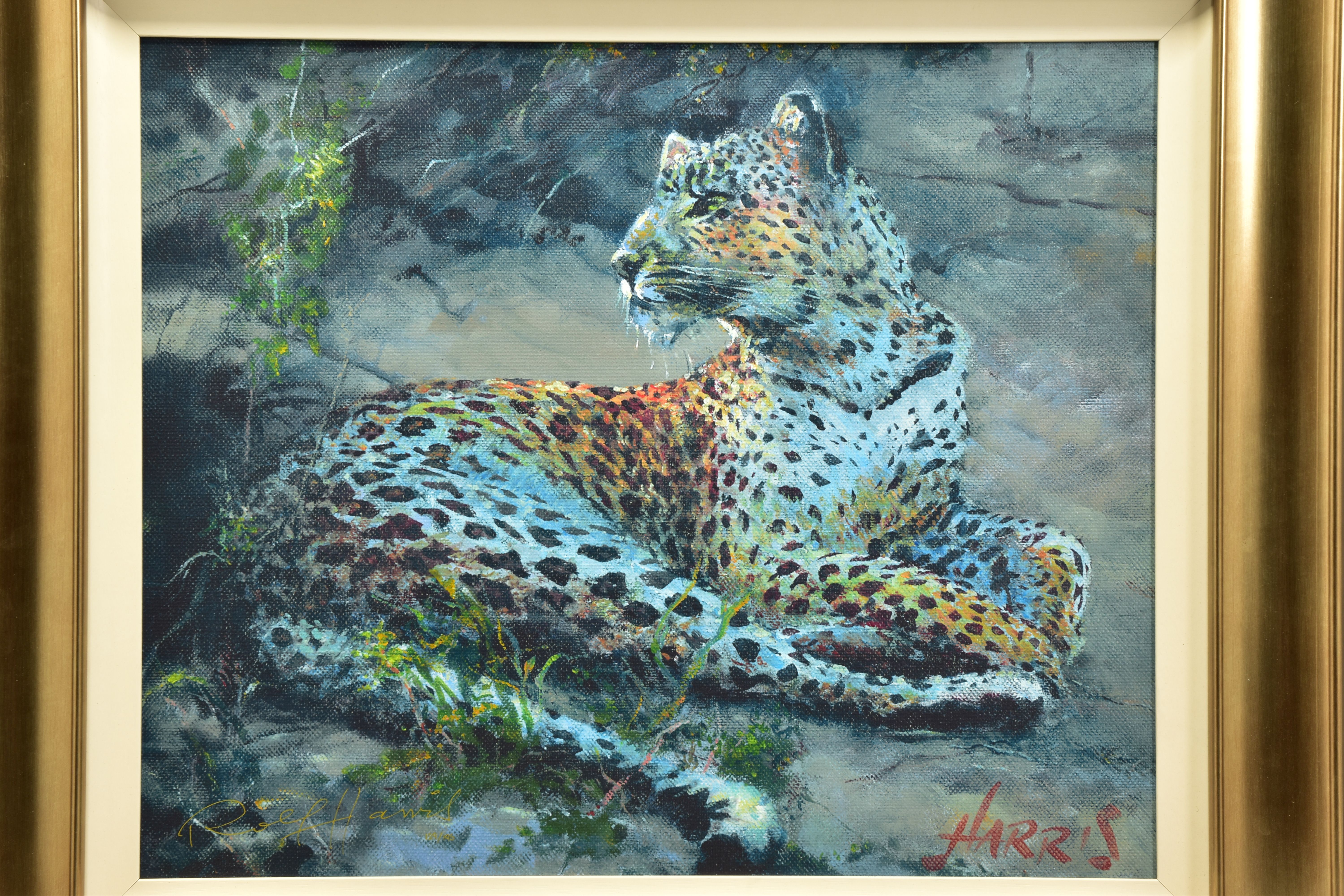 ROLF HARRIS (AUSTRALIA 1930) 'LEOPARD RECLINING AT DUSK' limited edition print on canvas 129/195, - Bild 2 aus 7