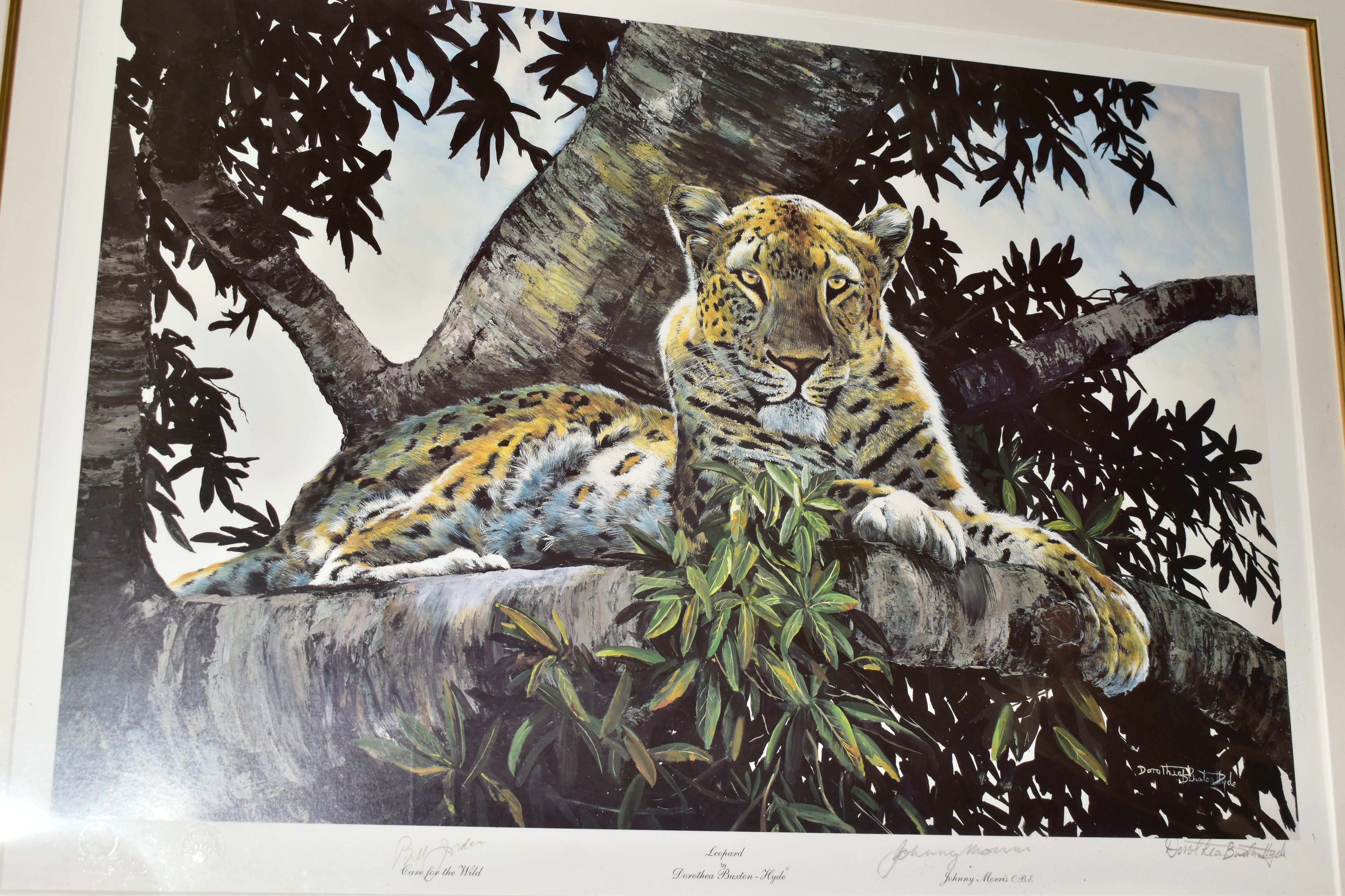 A SMALL QUANTITY OF ASSORTED PRINTS, to include a signed limited edition print 'Leopard' by Dorothea - Bild 5 aus 5