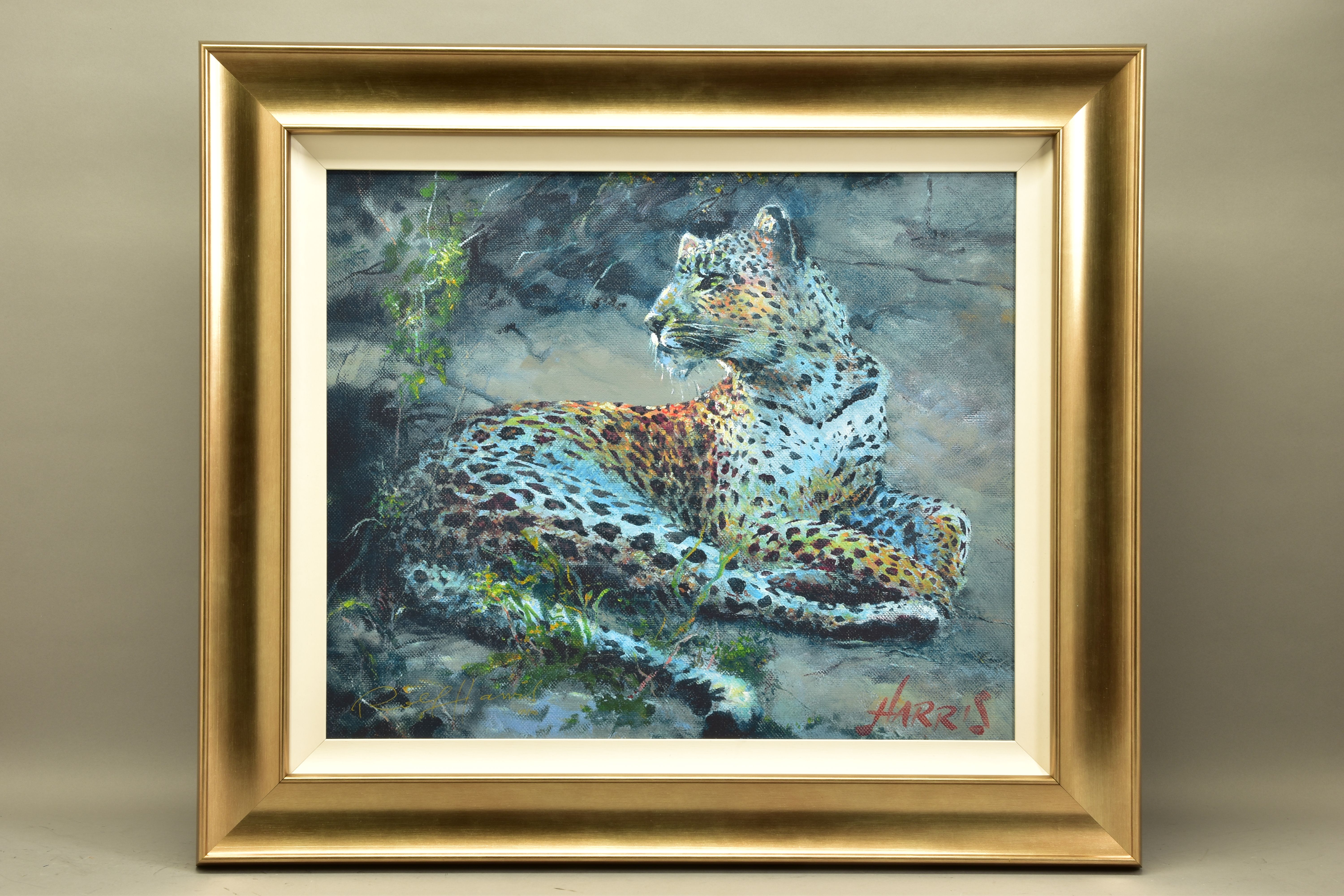 ROLF HARRIS (AUSTRALIA 1930) 'LEOPARD RECLINING AT DUSK' limited edition print on canvas 129/195,