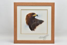 SUE WARNER (BRITISH CONTEMPORARY) 'GOLDEN EAGLE', a detailed portrait study of a bird of prey,