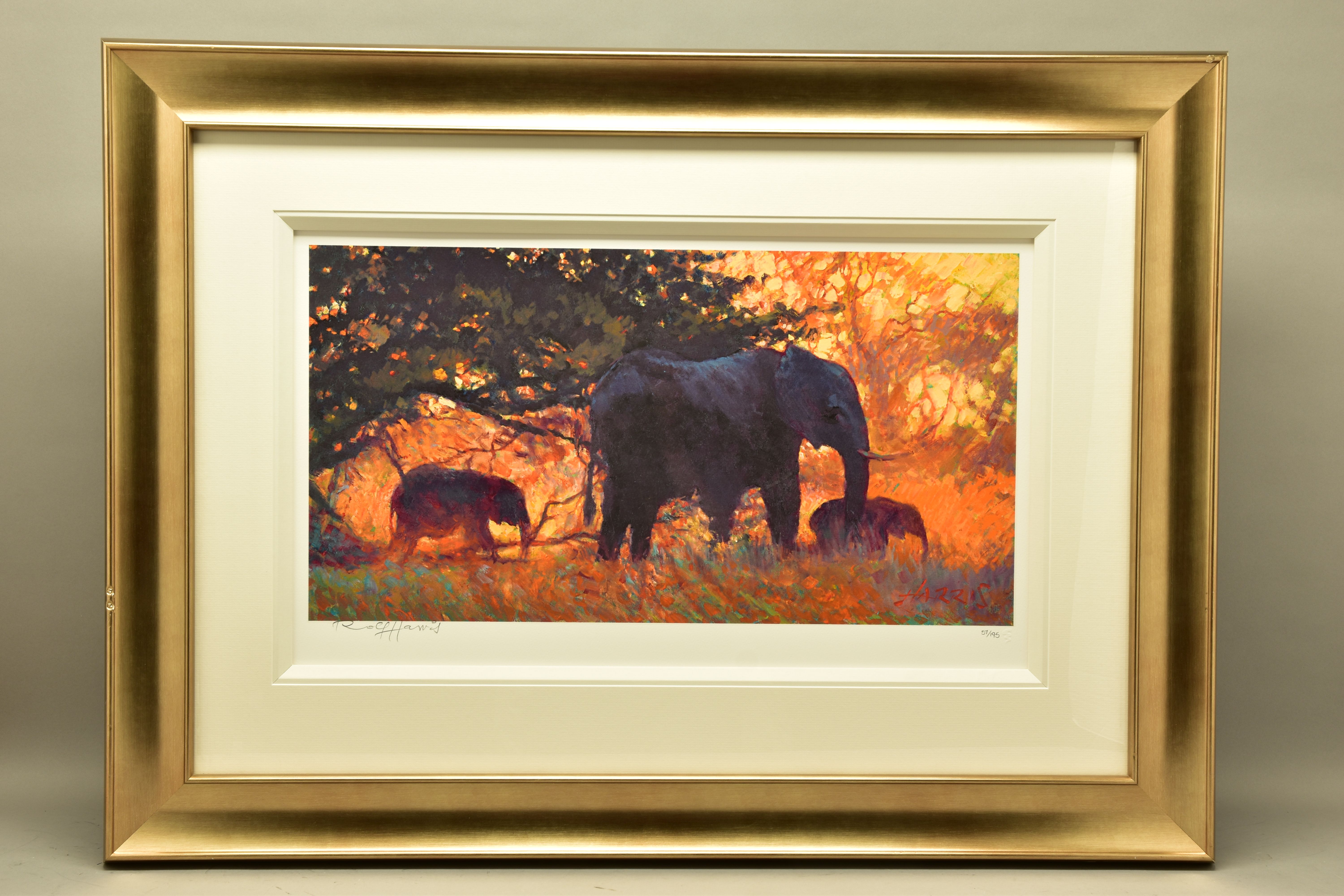 ROLF HARRIS (AUSTRALIAN 1930) 'BACKLIT GOLD' a limited edition print 57/195 depicting elephants,