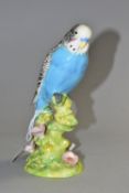 A BESWICK BLUE BUDGIE, model 1217 the blue budgie with pink floral base, approximate height 18cm (