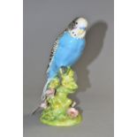 A BESWICK BLUE BUDGIE, model 1217 the blue budgie with pink floral base, approximate height 18cm (