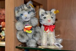 TWO STEIFF KITTENS, comprising a mohair seated 'Susi', yellow ear tag, serial number 031748, tags