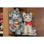 TWO STEIFF KITTENS, comprising a mohair seated 'Susi', yellow ear tag, serial number 031748, tags