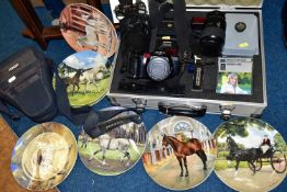 A COLLECTION OF EIGHT SPODE 'NOBLE HORSE' PLATES 1988, 1989, 1990, The Hackney, The Cleveland Bay,