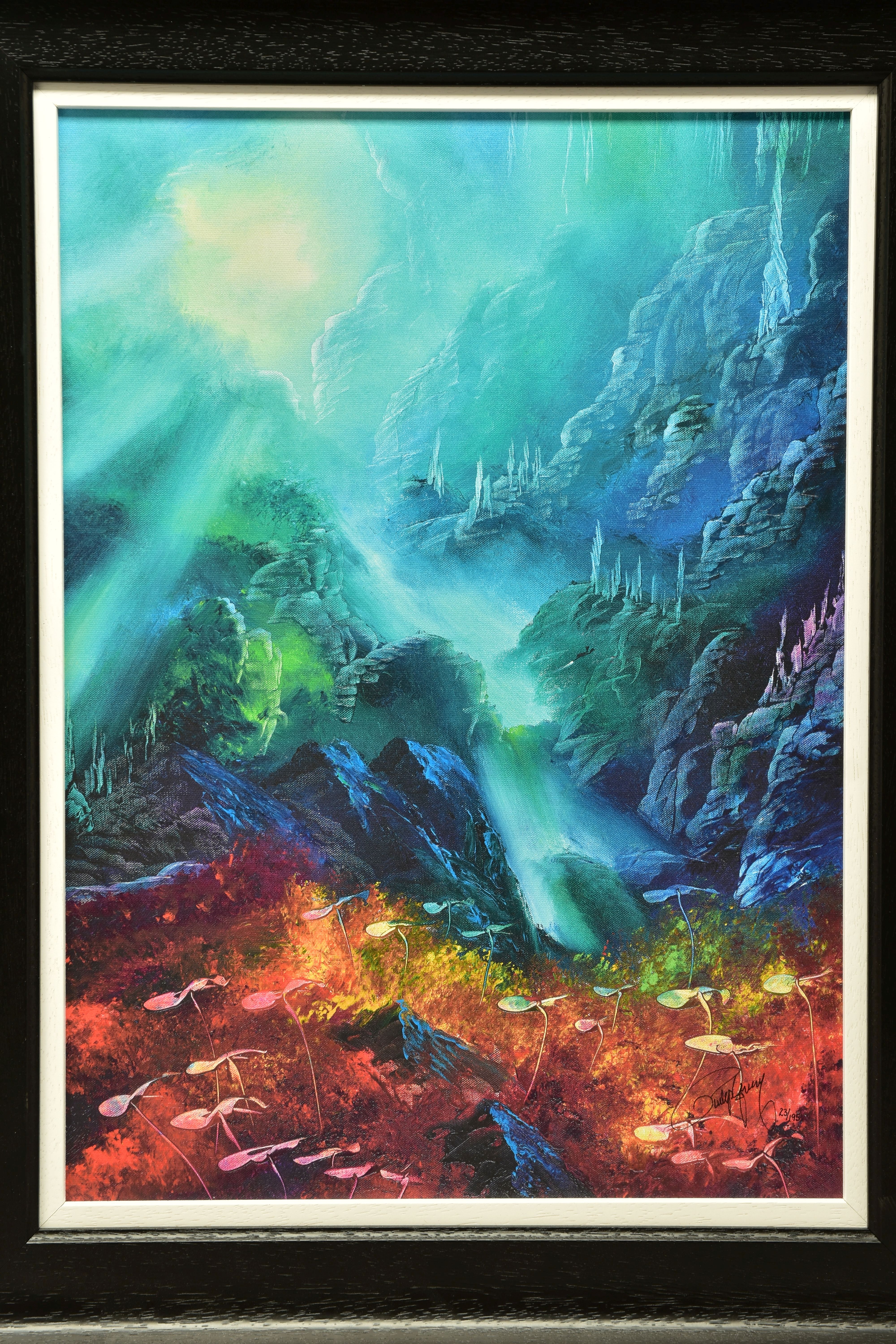 PHILIP GRAY (IRELAND 1959), 'COLOURS OF THE DEEP', a signed limited edition print depicting an - Bild 2 aus 6