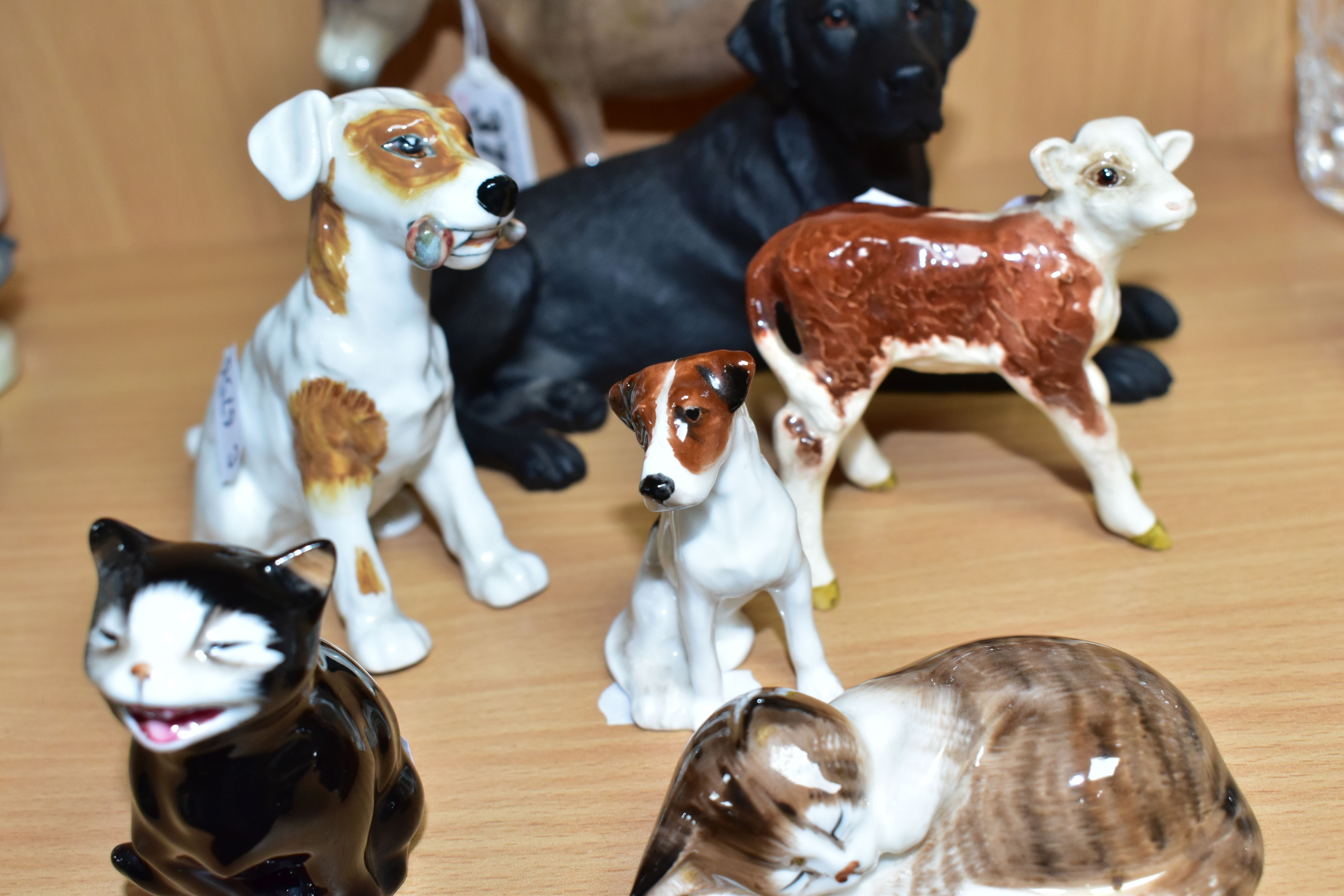 A GROUP OF SEVEN ROYAL DOULTON, BESWICK AND BORDER FINE ARTS ANIMALS, the Royal Doulton comprising - Bild 3 aus 4