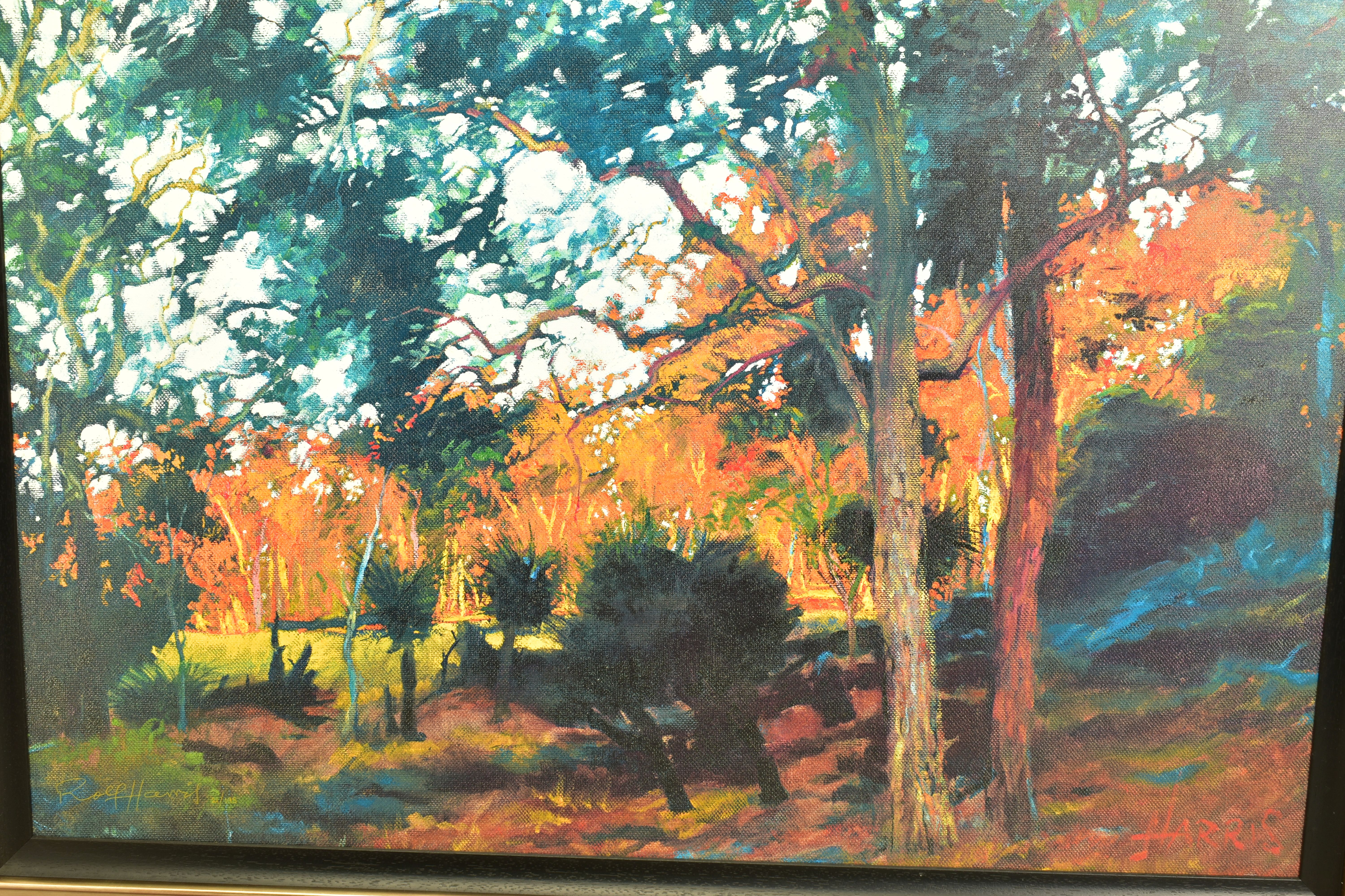 ROLF HARRIS (AUSTRALIA 1939) ' BUSH SUNSET', a signed limited edition print depicting an - Image 2 of 3