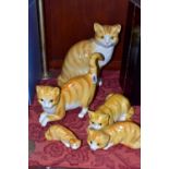 FIVE JUST CATS & CO GINGER CAT FIGURES, modelled in different poses, the larger four with glass