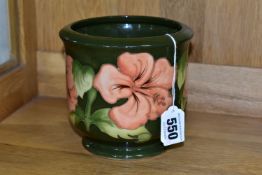 A MOORCROFT POTTERY JARDINIERE, coral 'Hibiscus' pattern on green ground, impressed and painted