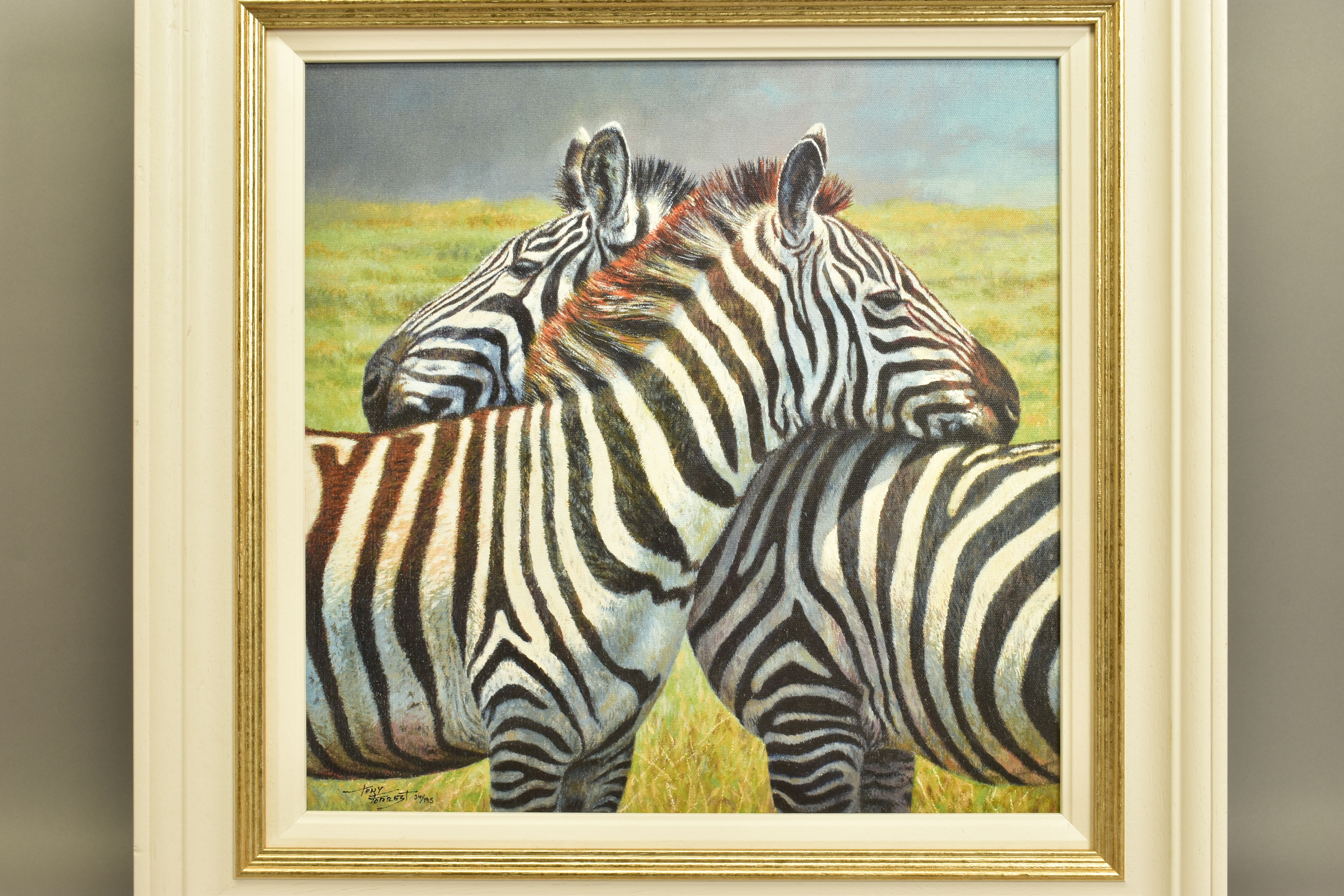 TONY FORREST (BRITISH 1961) 'NEAREST AND DEAREST', a signed limited edition print of zebras 34/ - Image 2 of 4