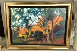 ROLF HARRIS (AUSTRALIA 1939) ' BUSH SUNSET', a signed limited edition print depicting an