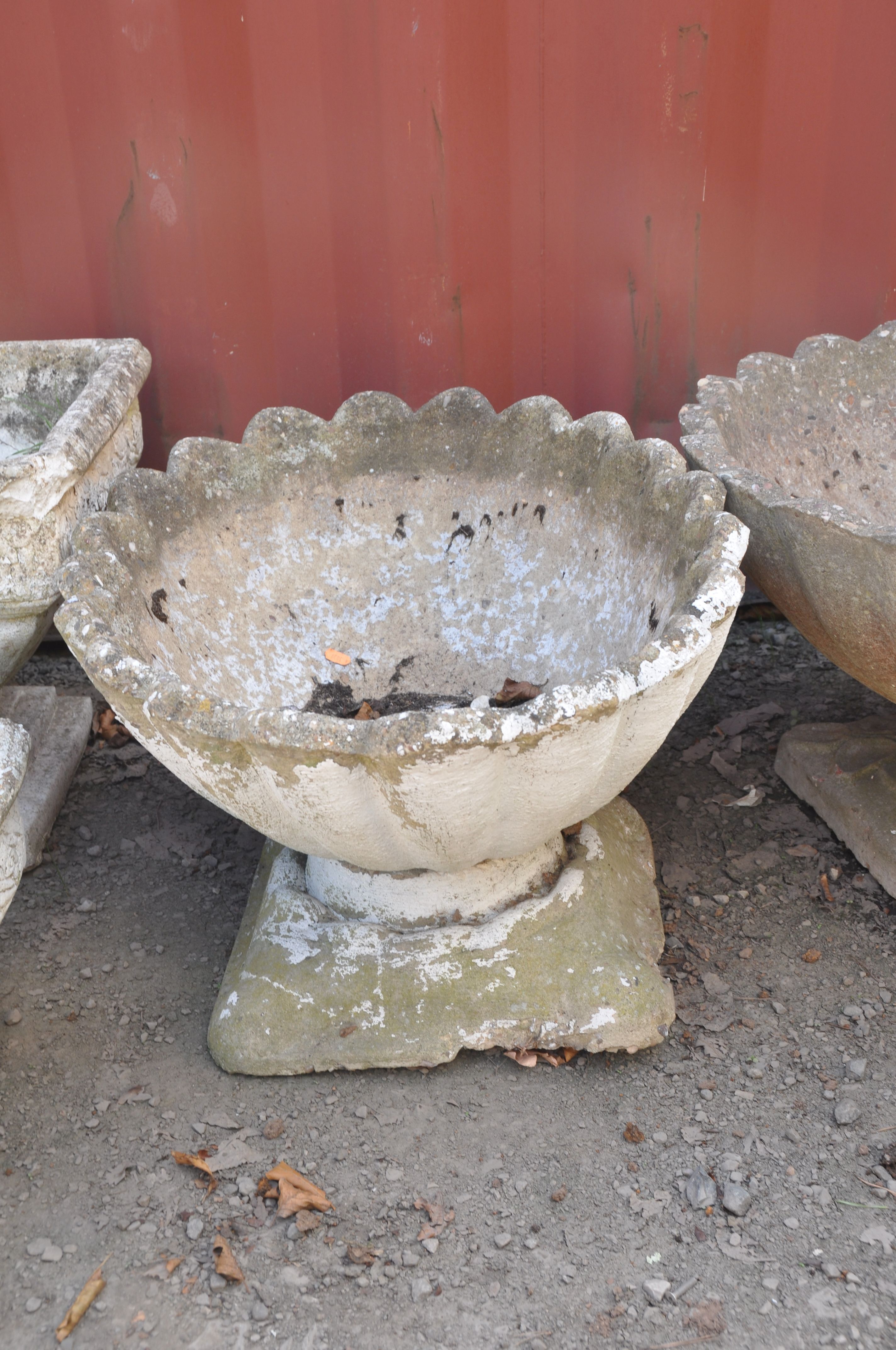 A COMPOSITE OVAL OYSTER SHELL GARDEN URN with shaped square base, width 71cm, depth 55cm, height