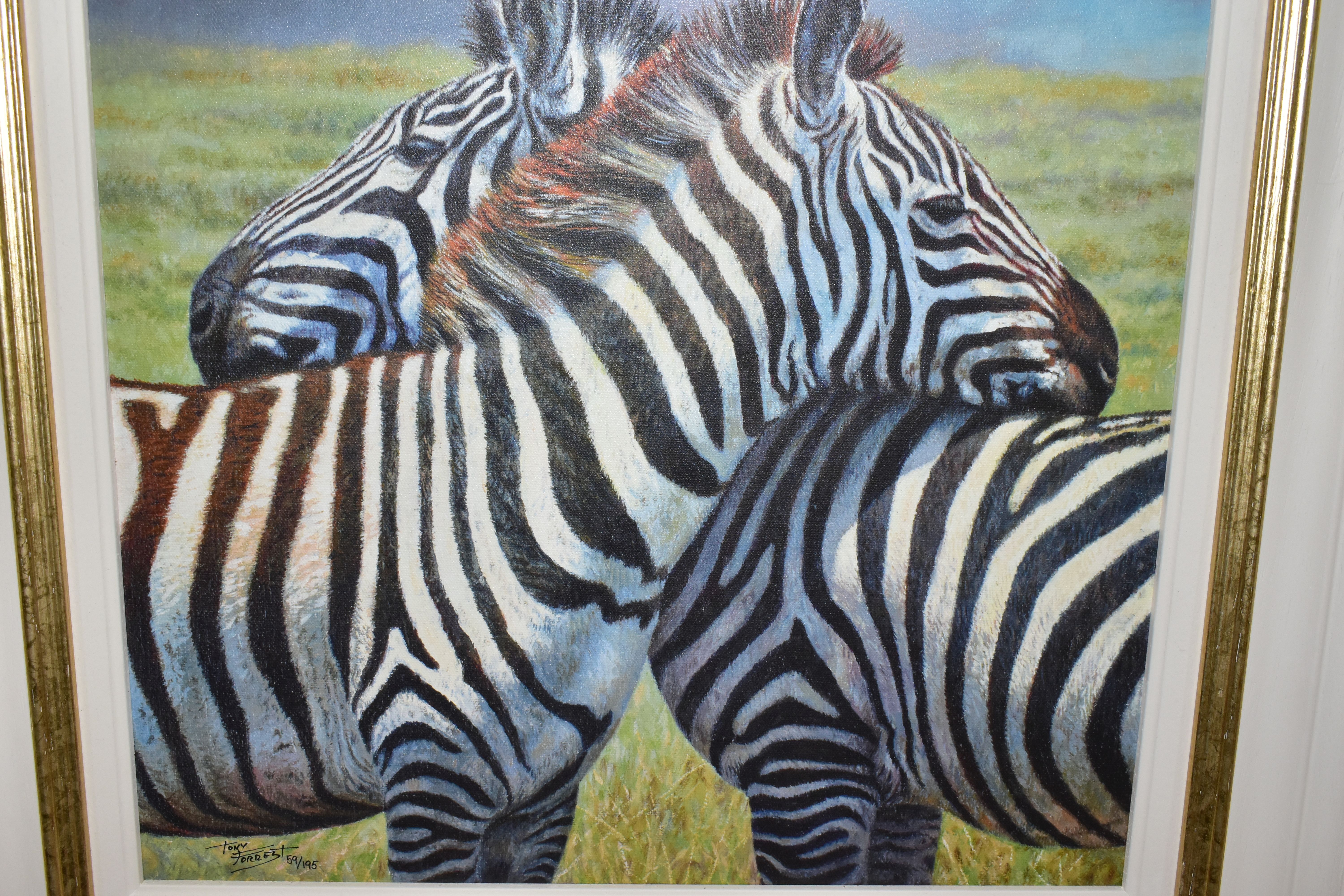 TONY FORREST (BRITISH 1961) 'NEAREST AND DEAREST', a signed limited edition print of zebras 59/ - Image 2 of 3