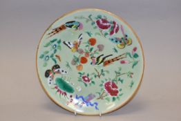 A NINETEENTH CENTURY CHINESE FAMILLE ROSE PLATE, with enamelled birds and butterflies over a celadon