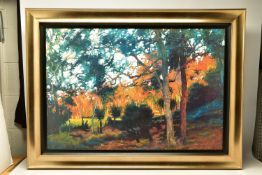 ROLF HARRIS (AUSTRALIAN 1930) 'BUSH SUNSET', a signed limited edition print of a landscape, 27/