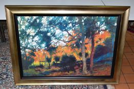 ROLF HARRIS (AUSTRALIA 1939) ' BUSH SUNSET', a signed limited edition print depicting an