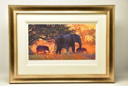 ROLF HARRIS (AUSTRALIAN 1930) 'BACKLIT GOLD' a limited edition print, 71/195, depicting elephants,