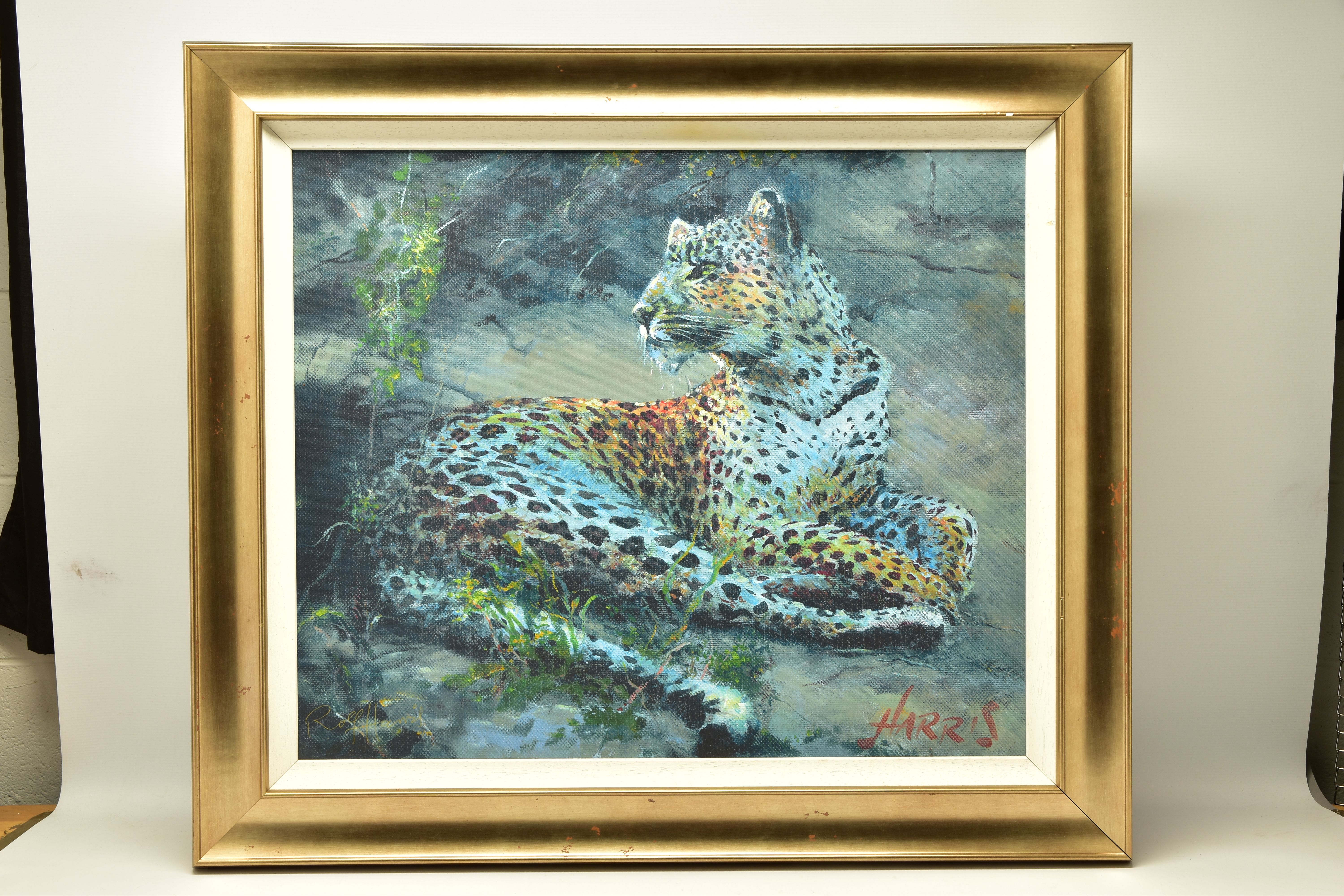 ROLF HARRIS (AUSTRALIAN 1930) 'LEOPARD RECLINING AT DUSK', signed limited edition print on canvas,
