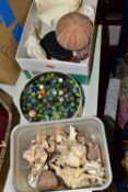TWO BOXES OF SEA SHELLS AND A TIN OF MARBLES, to include a small Quality Street tin of marbles,