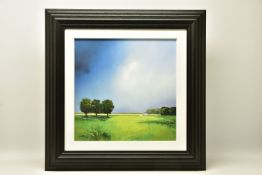 BARRY HILTON (BRITISH 1941) 'GREEN FIELDS OF HOME', a signed limited edition print of a British