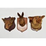 TAXIDERMY: TWO FOXES MASKS AND A HARE MASK, ALL MOUNTED ON WOODEN SHIELDS, the fox with closed mouth