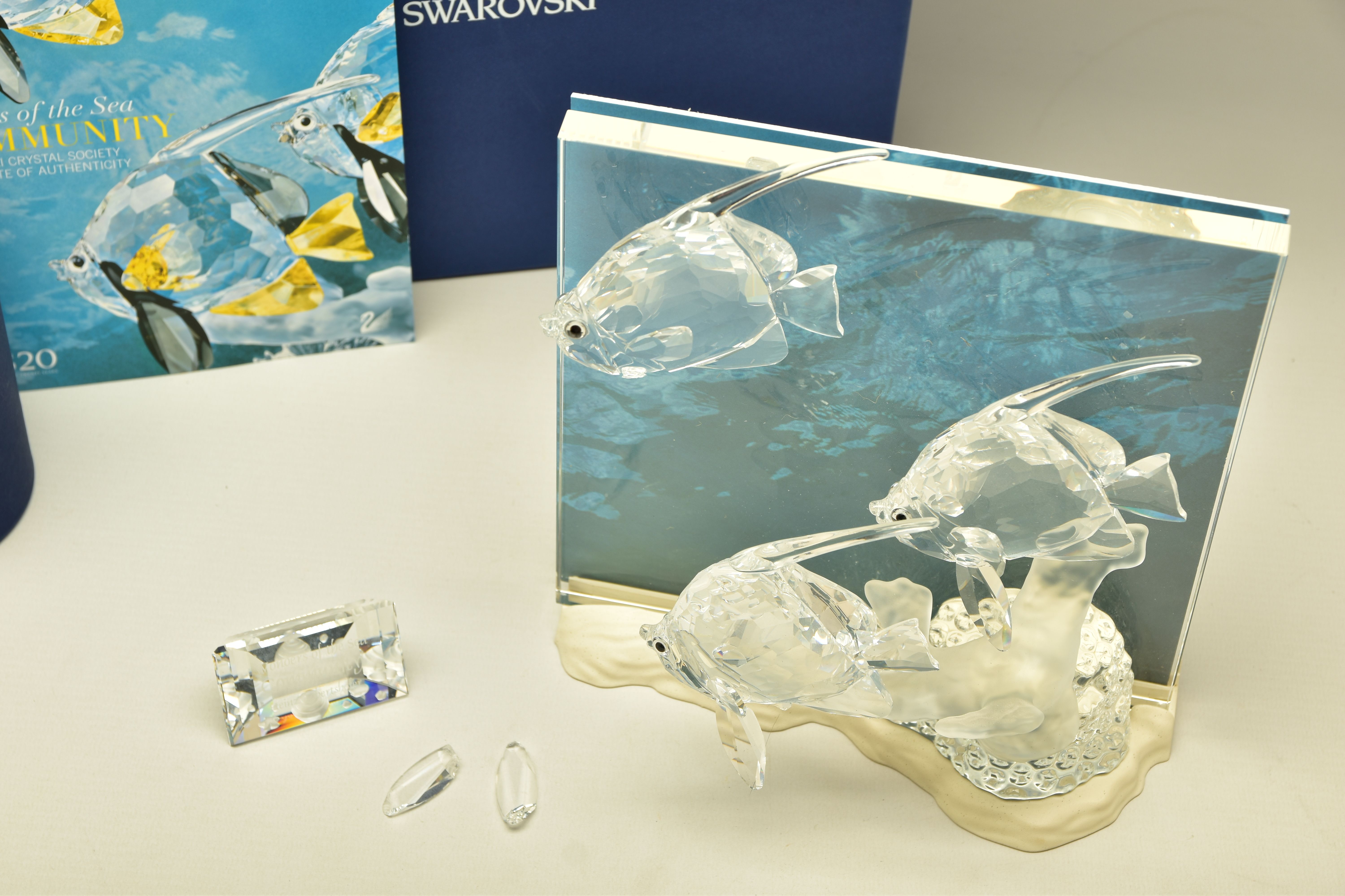 A BOXED SWAROVSKI CRYSTAL SOCIETY DIORAMA, THIRD PIECE OF THE TRILOGY WONDERS OF THE SEA - COMMUNITY - Image 6 of 6