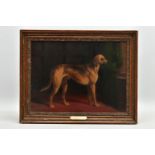 WILLIAM BARRAUD (1810-1850) 'GREAT DANE', a 19th Century study of a Great Dane in an interior