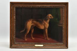 WILLIAM BARRAUD (1810-1850) 'GREAT DANE', a 19th Century study of a Great Dane in an interior