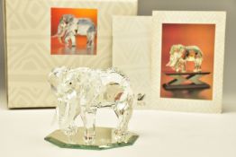 A BOXED SWAROVSKI COLLECTORS SOCIETY INSPIRATION AFRICA FIGURE - ELEPHANT 1993, (169970) designed by