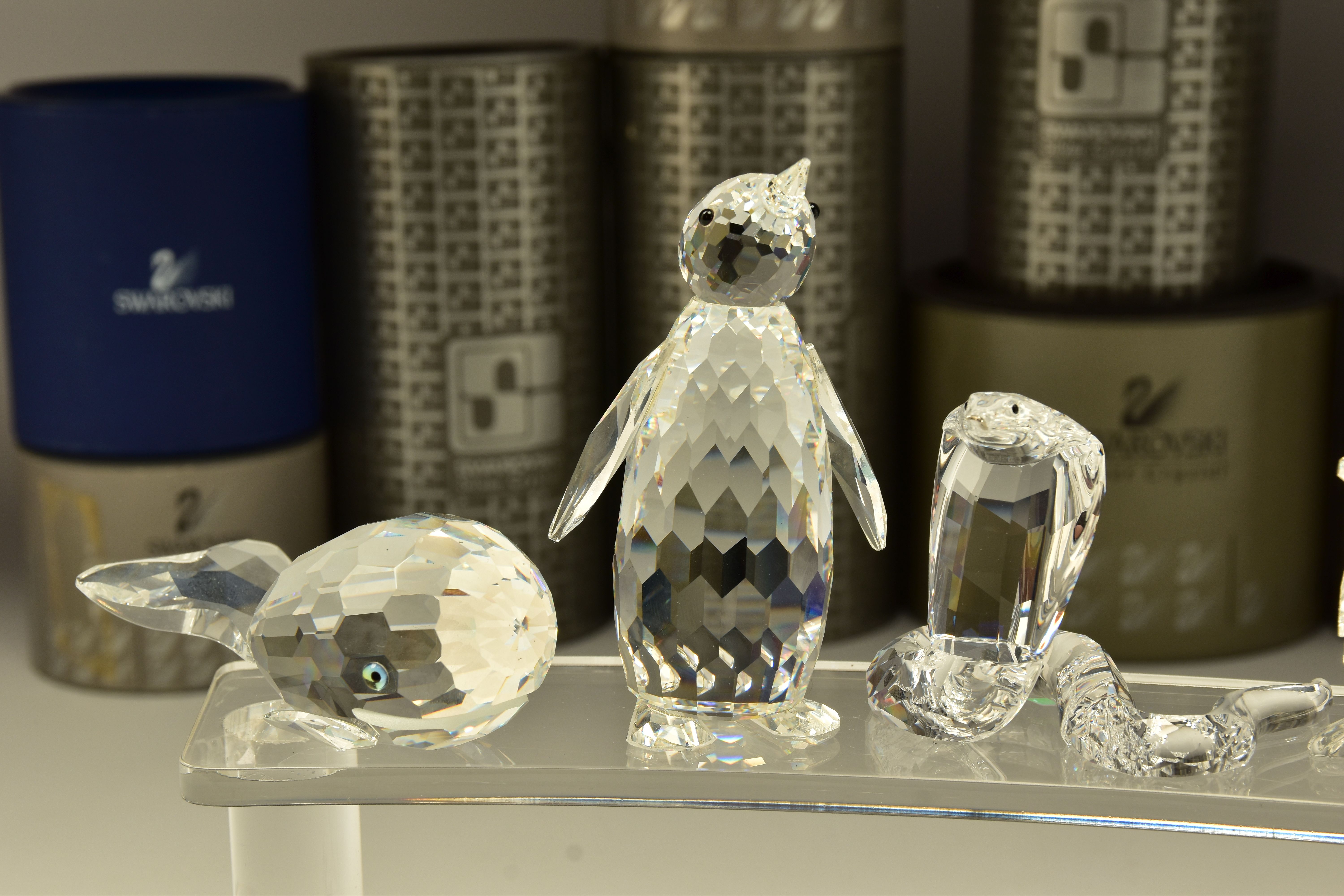 TEN BOXED SWAROVSKI CRYSTAL ORNAMENTS, from various collections, comprising three from African - Image 2 of 7