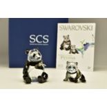 A BOXED SWAROVSKI CRYSTAL SOCIETY ENDANGERED WILDLIFE SERIES GROUP - PANDAS 2008 (900918),