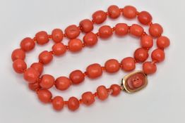 A CORAL BEAD NECKLACE WITH GEORGIAN CARVED CORAL CAMEO CLASP, the necklace comprising thirty nine