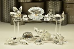 ELEVEN BOXED SWAROVSKI CRYSTAL ORNAMENTS, from various collections, comprising Rose (174956) 1993 (