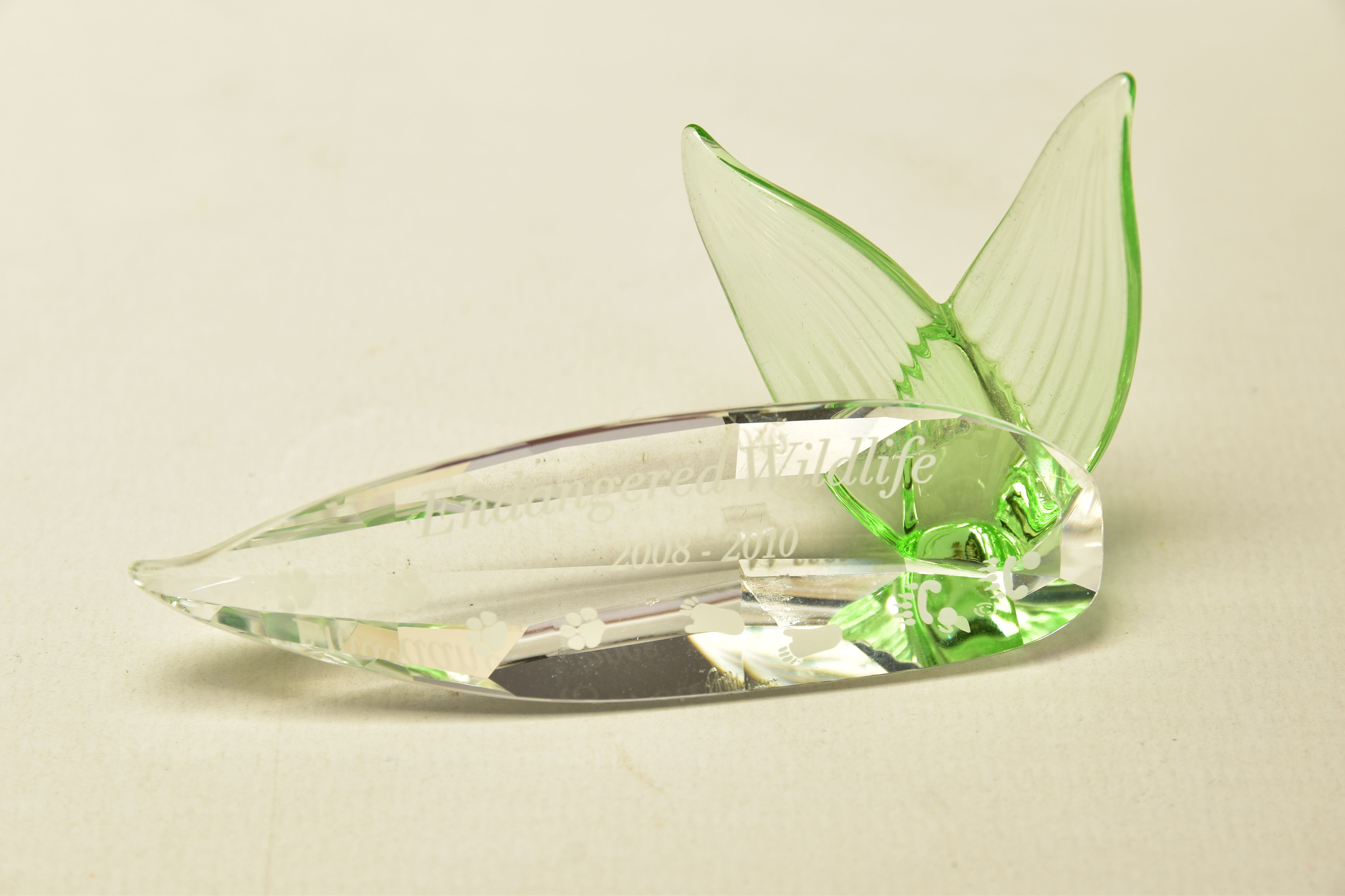 A BOXED SWAROVSKI CRYSTAL SOCIETY ENDANGERED WILDLIFE TITLE PLAQUE 2008-2010, (906929), height 4cm x - Image 2 of 4