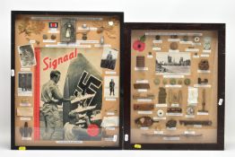 TWO LARGE GLAZED FRAMES, containing various items relics, battlefield finds etc in relation to a WW1