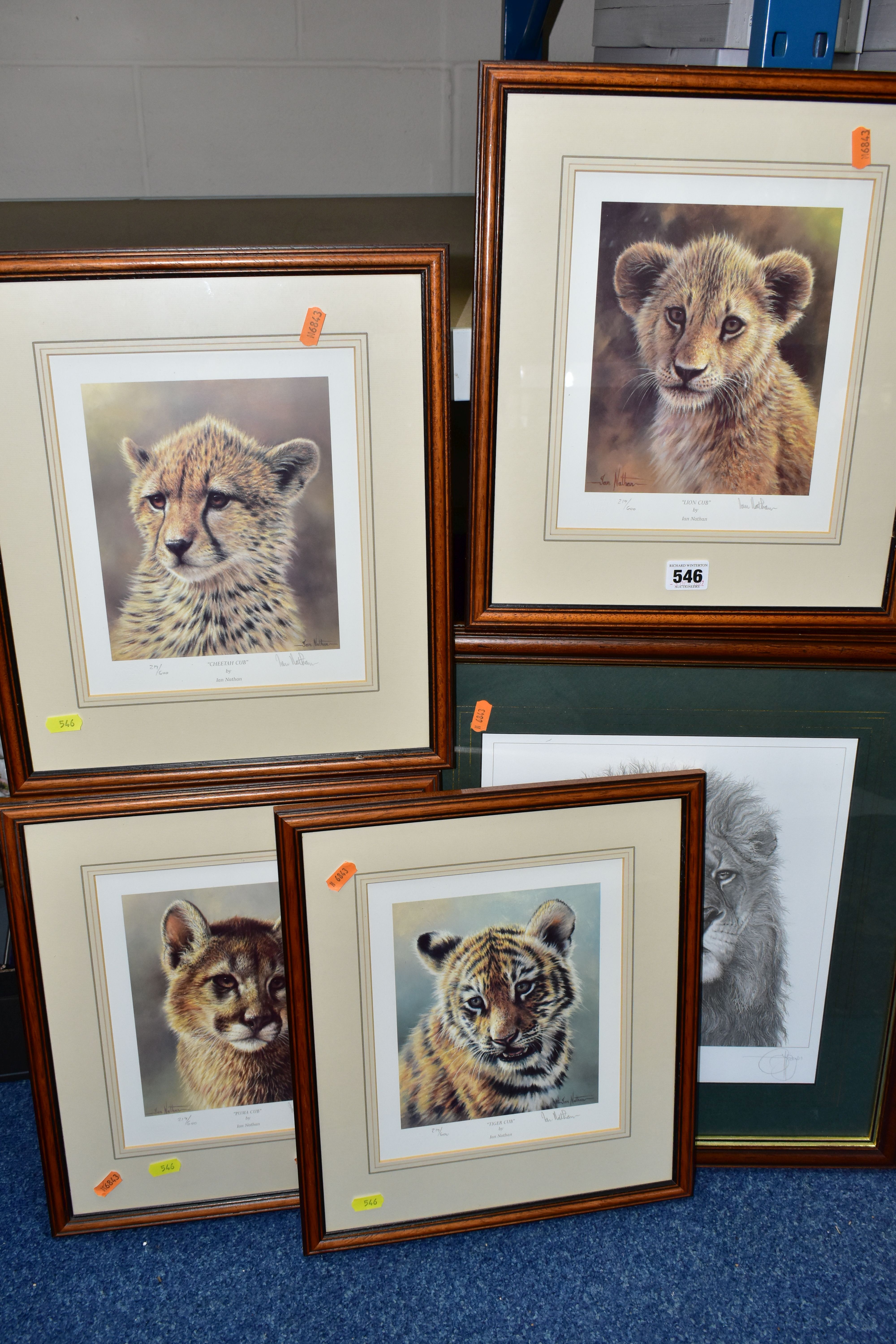 FIVE SIGNED LIMITED EDITION WILDLIFE PRINTS, comprising a set of four Ian Nathan prints, Puma Cub,