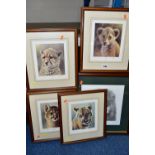 FIVE SIGNED LIMITED EDITION WILDLIFE PRINTS, comprising a set of four Ian Nathan prints, Puma Cub,