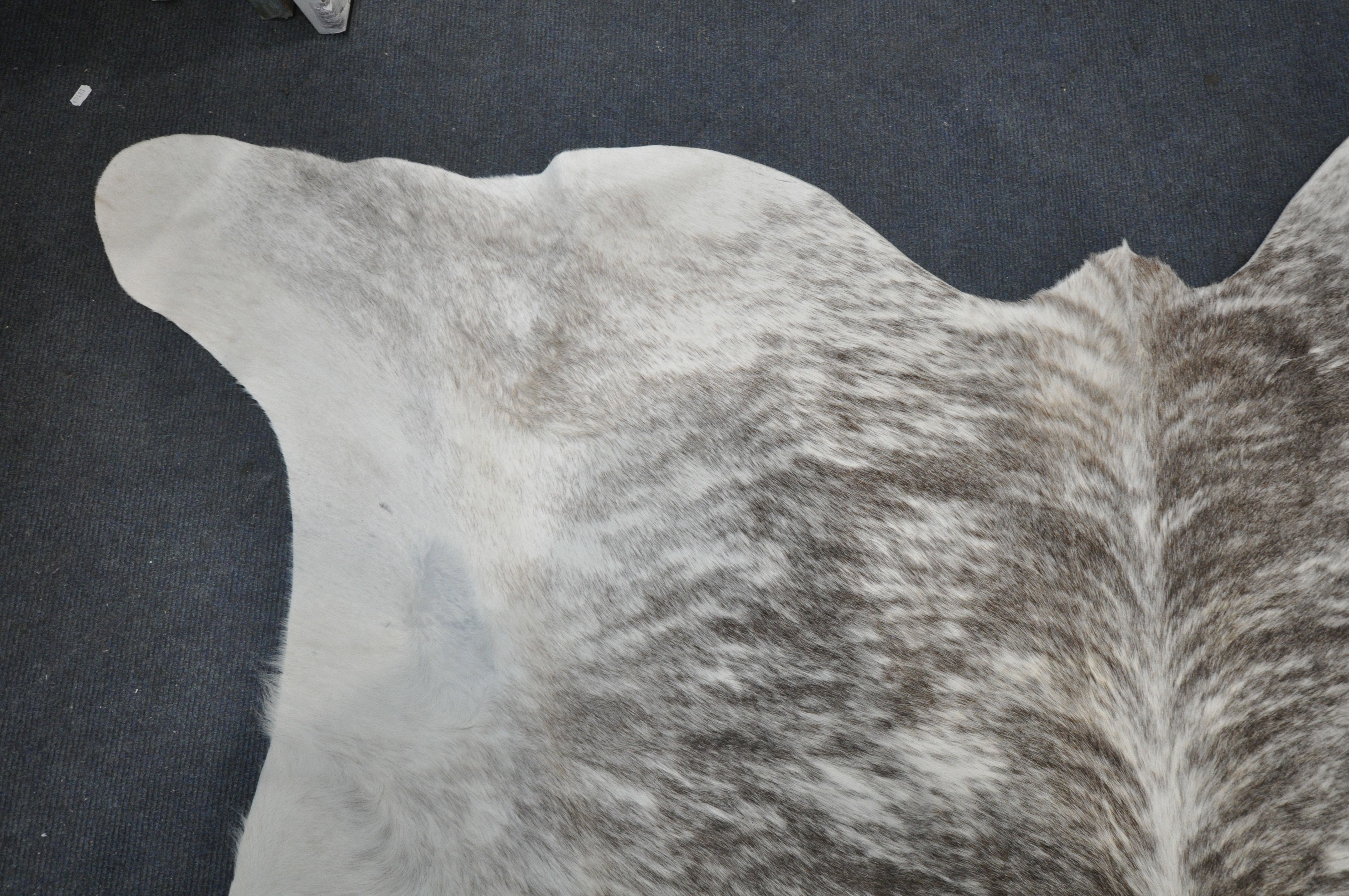 A LARGE EXOTIC COW HIDE RUG, length 206cm x width 155cm (condition - small piece missing to edge - Bild 4 aus 5