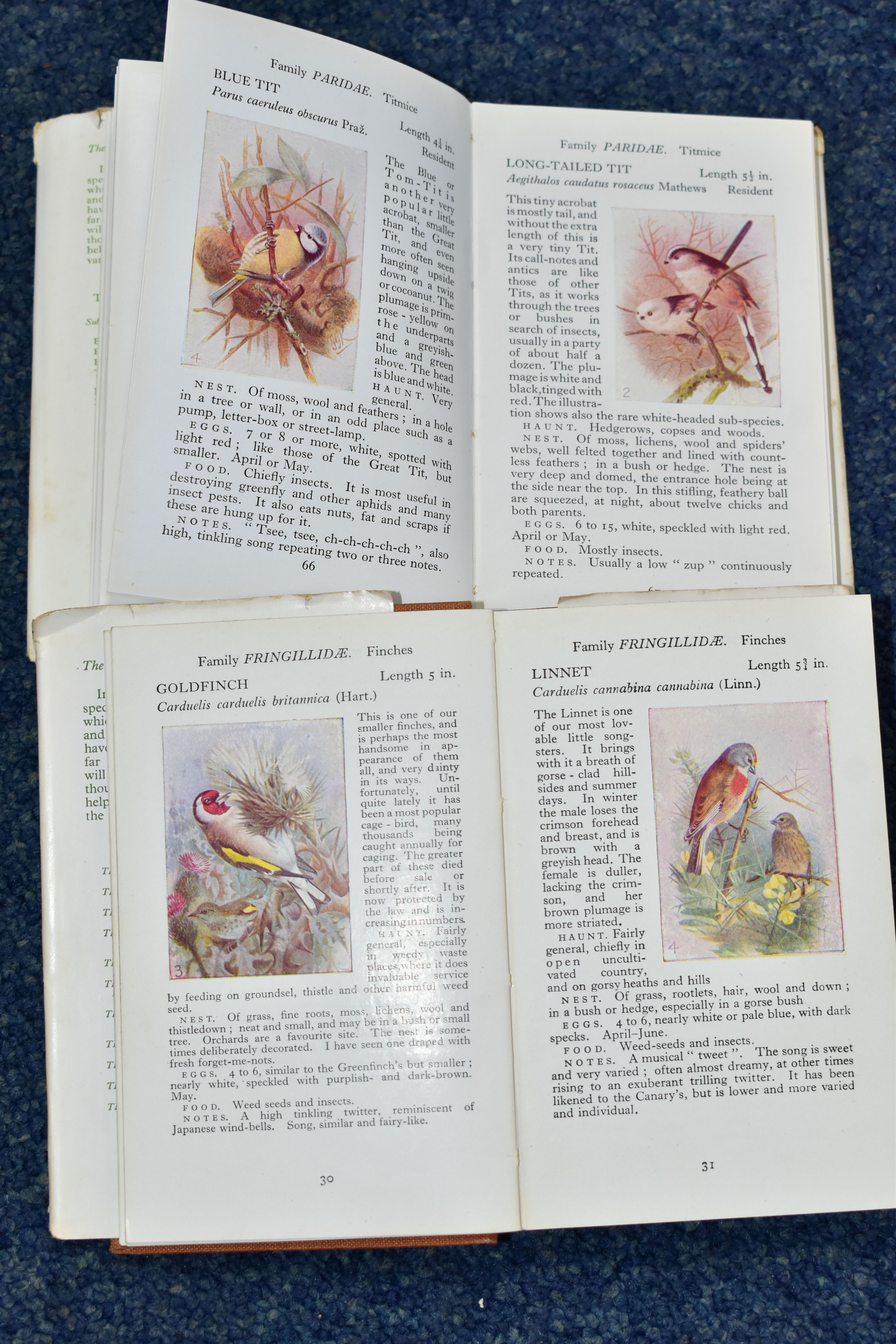 THE OBSERVER BOOK OF BRITISH BIRDS, by S. Vere Benson with a foreword by The Rt. Ho. Frances - Image 6 of 7
