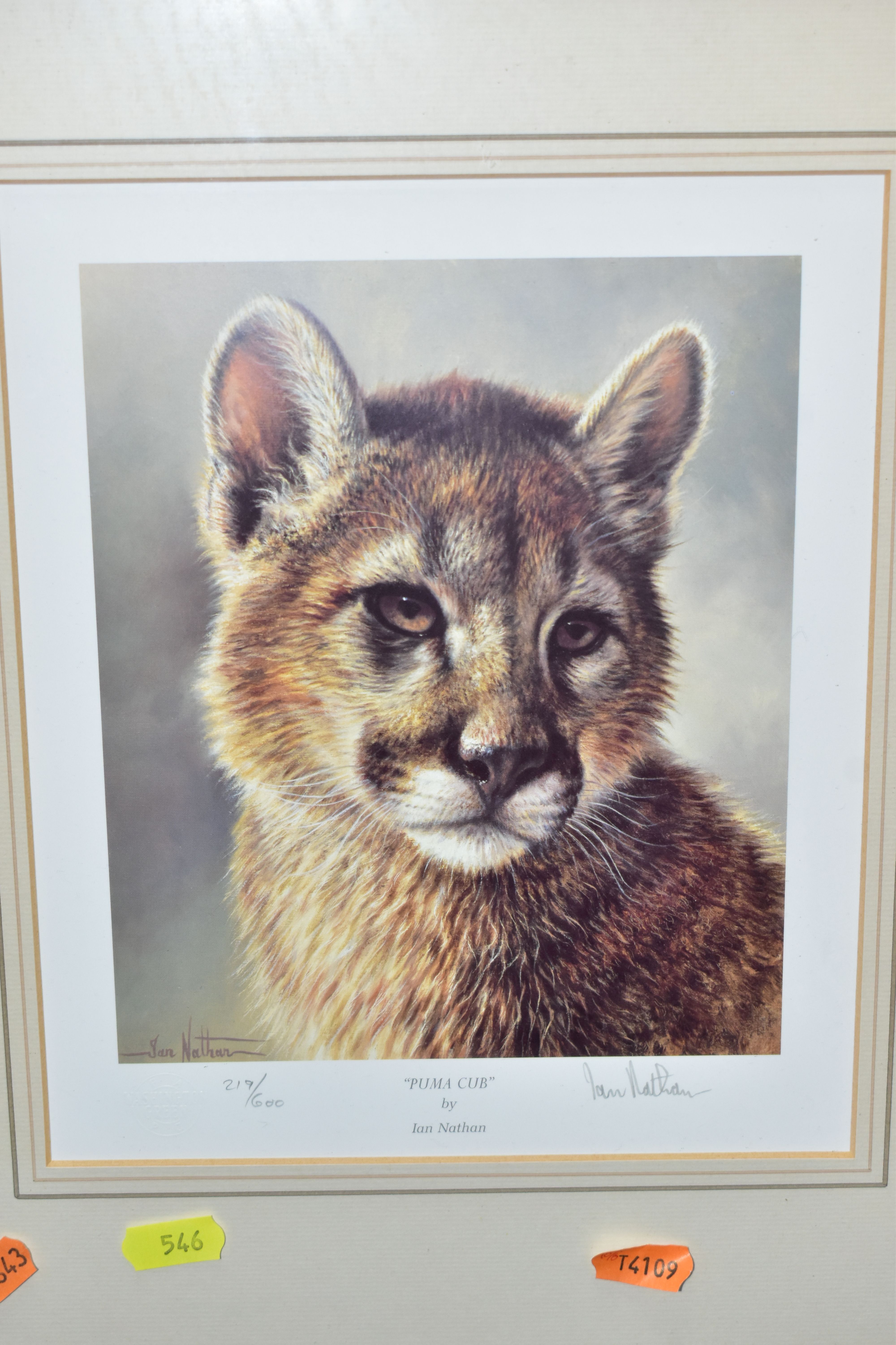 FIVE SIGNED LIMITED EDITION WILDLIFE PRINTS, comprising a set of four Ian Nathan prints, Puma Cub, - Image 6 of 6