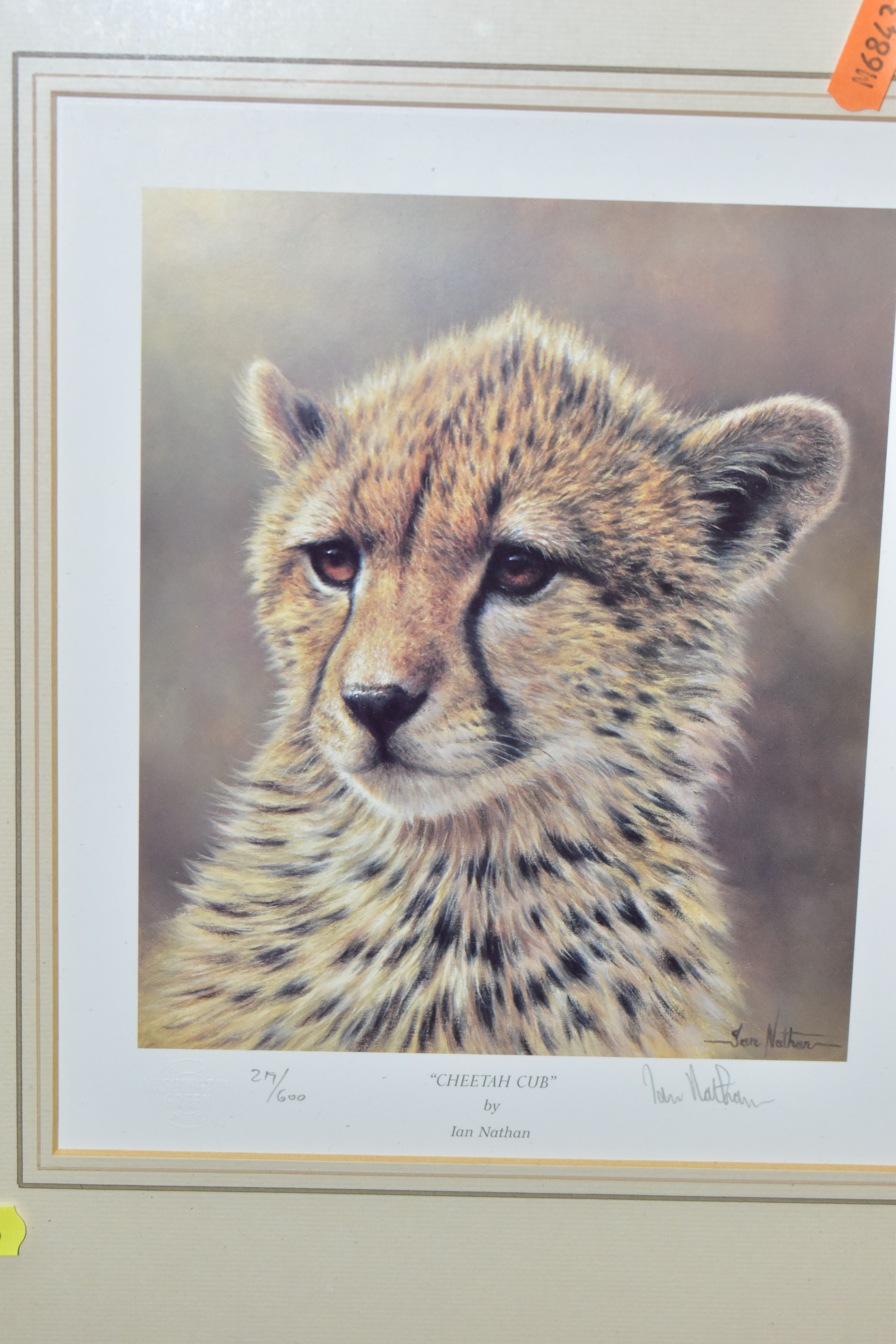 FIVE SIGNED LIMITED EDITION WILDLIFE PRINTS, comprising a set of four Ian Nathan prints, Puma Cub, - Image 3 of 6