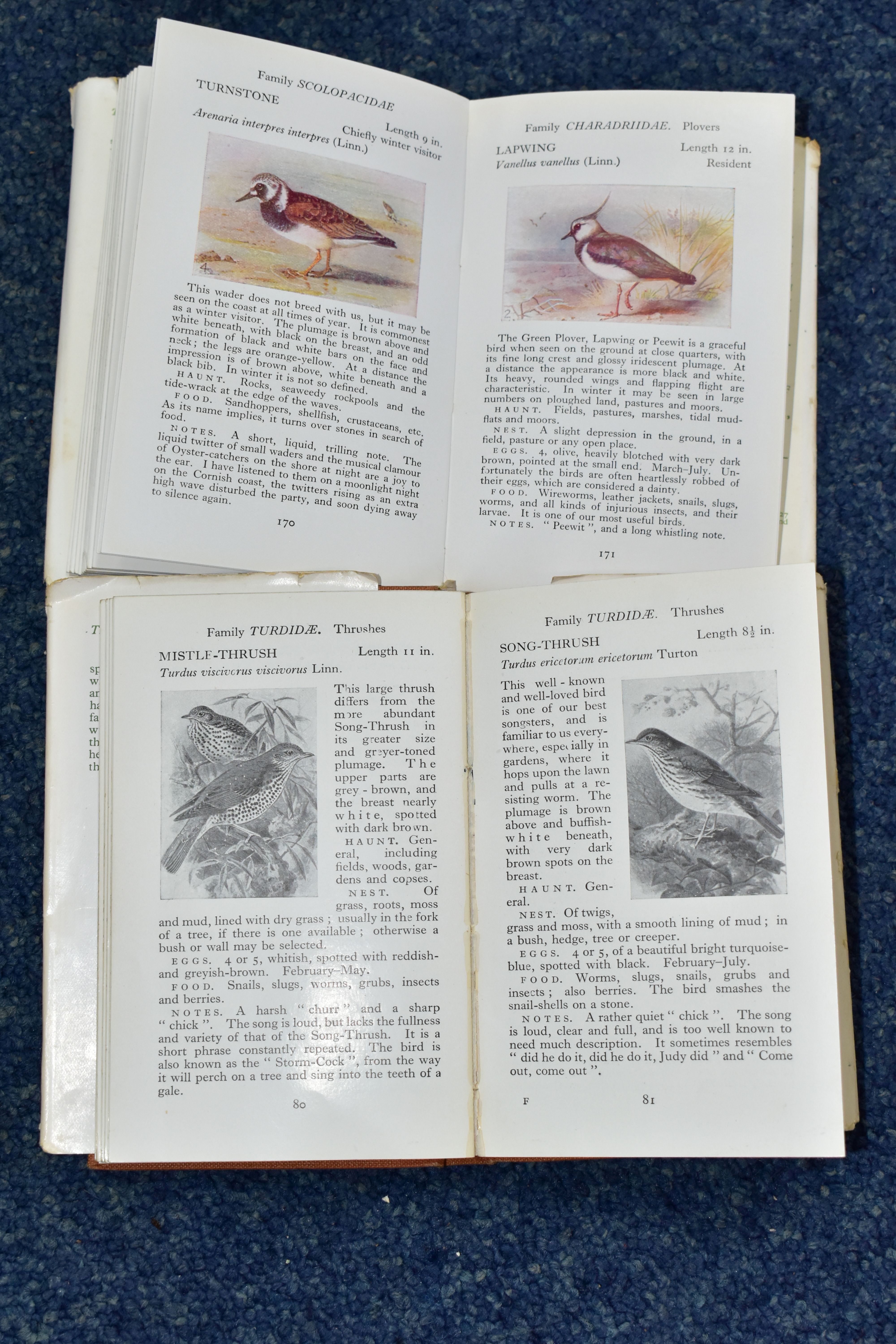 THE OBSERVER BOOK OF BRITISH BIRDS, by S. Vere Benson with a foreword by The Rt. Ho. Frances - Image 7 of 7