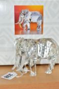 A BOXED SWAROVSKI CRYSTAL ELEPHANT, 169970, from the Inspiration Africa series, Swarovski Collectors