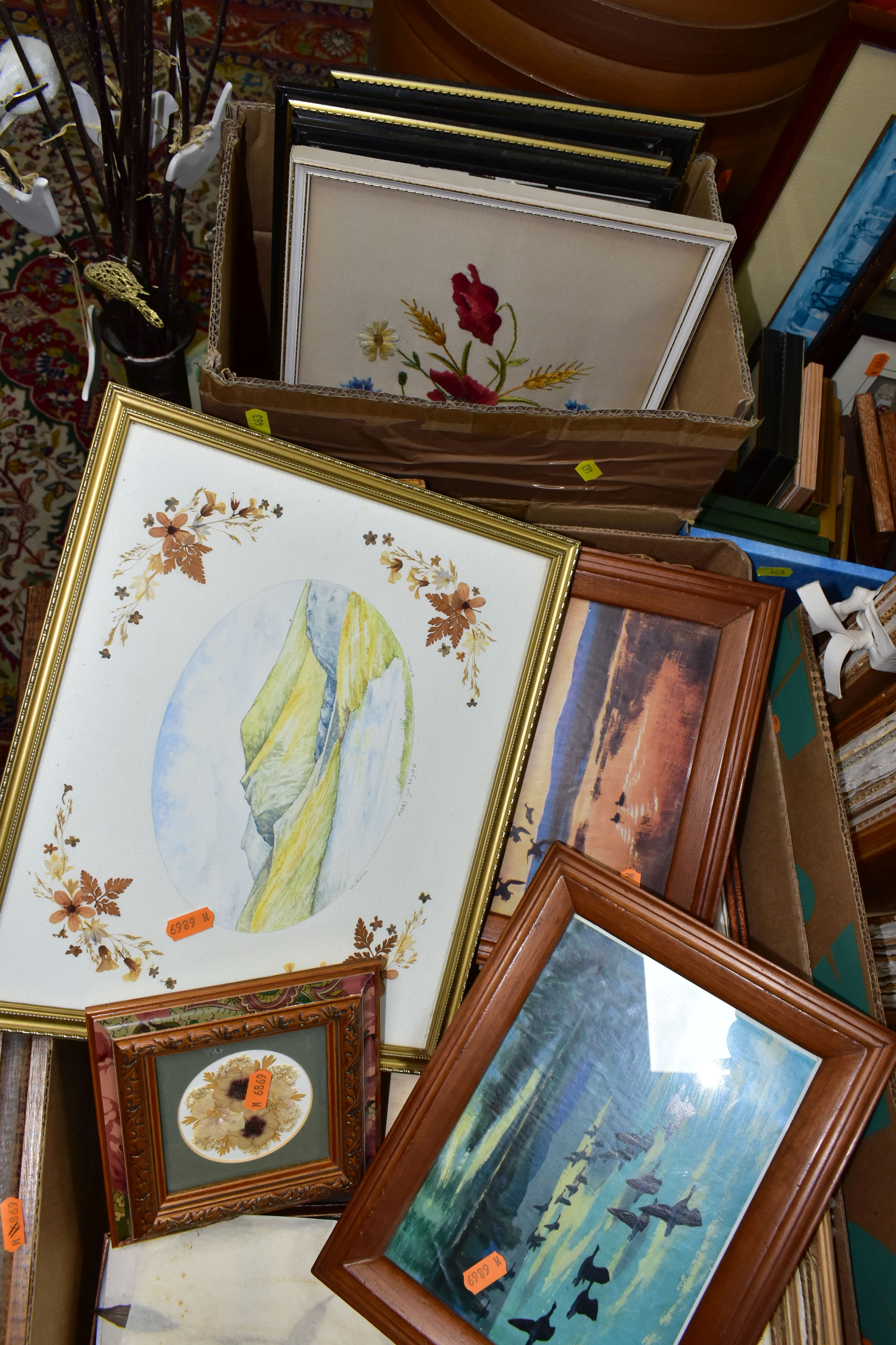 PRESSED FLOWERS & PRINTS, a large collection of pressed flowers in corrugated cardboard and - Image 5 of 7