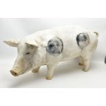 A FIBREGLASS BUTCHERS SHOP STYLE DISPLAY MODEL OF A GLOUCESTER OLD SPOT PIG, approximate length